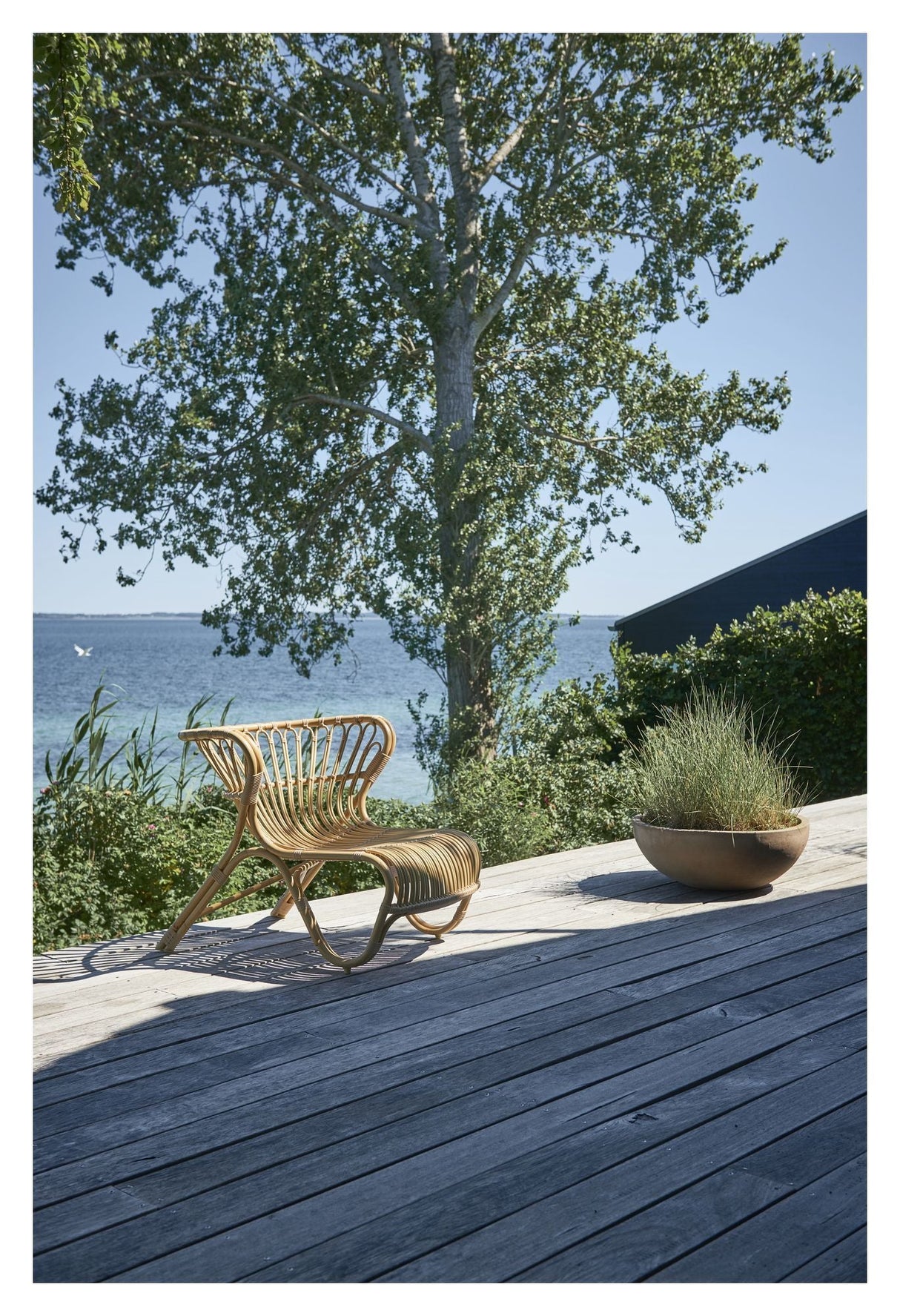 Fox Exterior Loungestol, Alu-Rattan - Unoliving.com