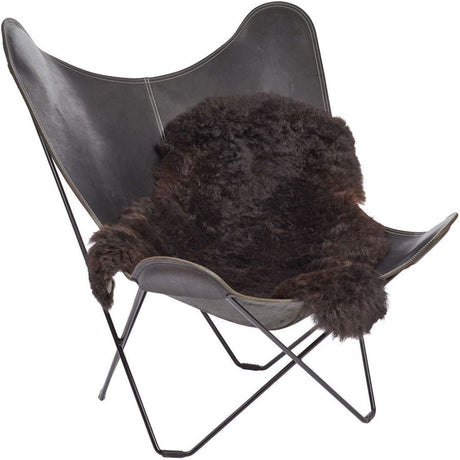 Islandsk korthåret Lammeskind 100-120cm - Blacky - Unoliving.com