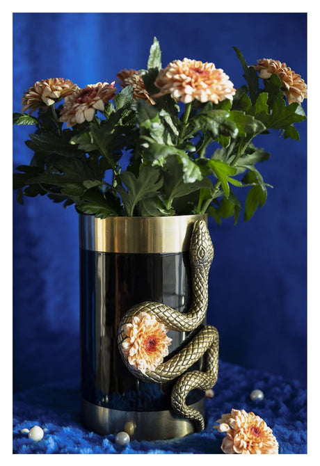 NEVER HURT A SNAKE Vase M - Unoliving.com