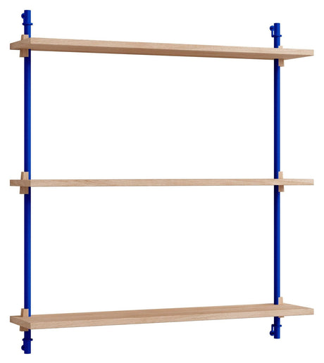 Wall Shelving, 1 fag, 3 hylder, H:85, Eg/Blå - Unoliving.com