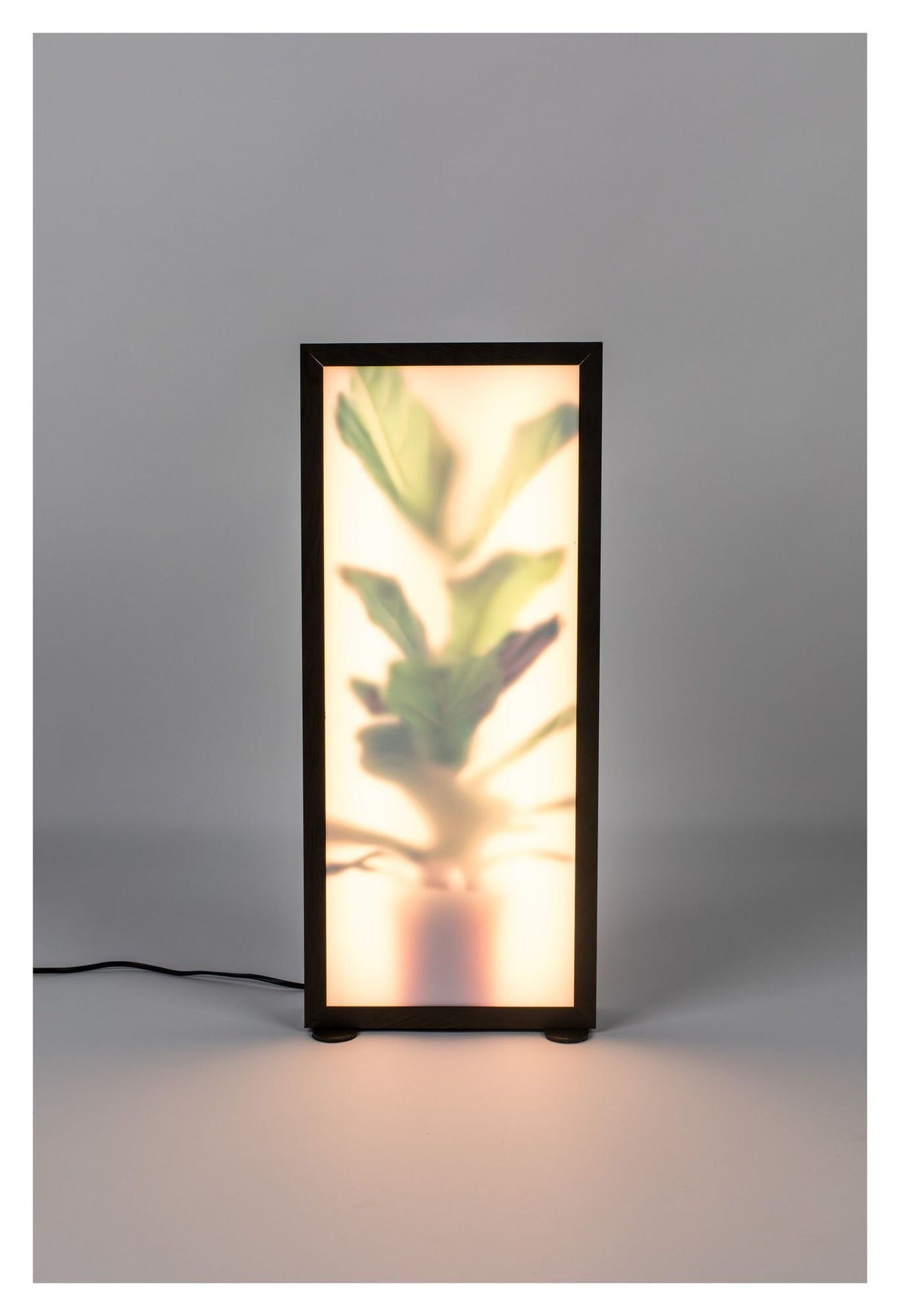 Zuiver Grow L Gulvlampe - Mørk Ege Finish - Unoliving.com