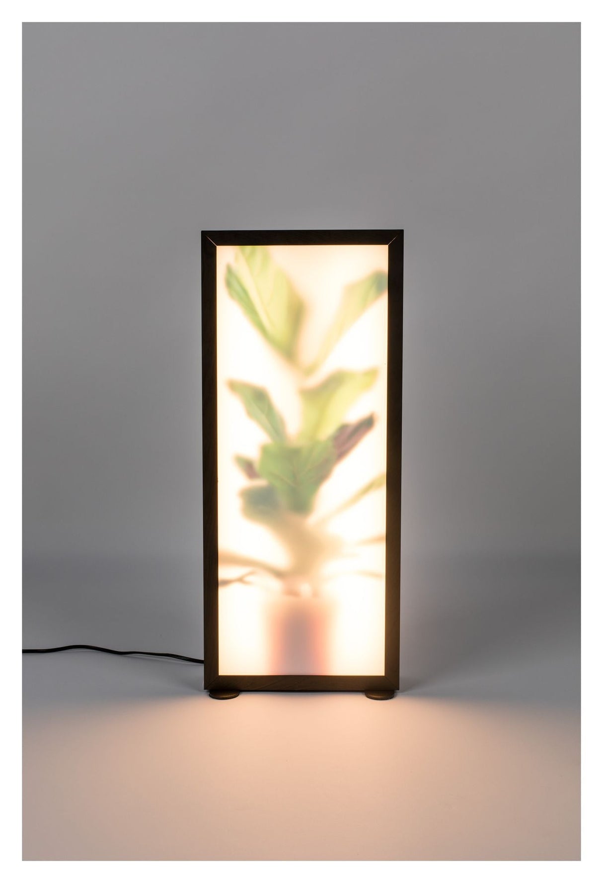 Zuiver Grow L Gulvlampe - Mørk Ege Finish - Unoliving.com