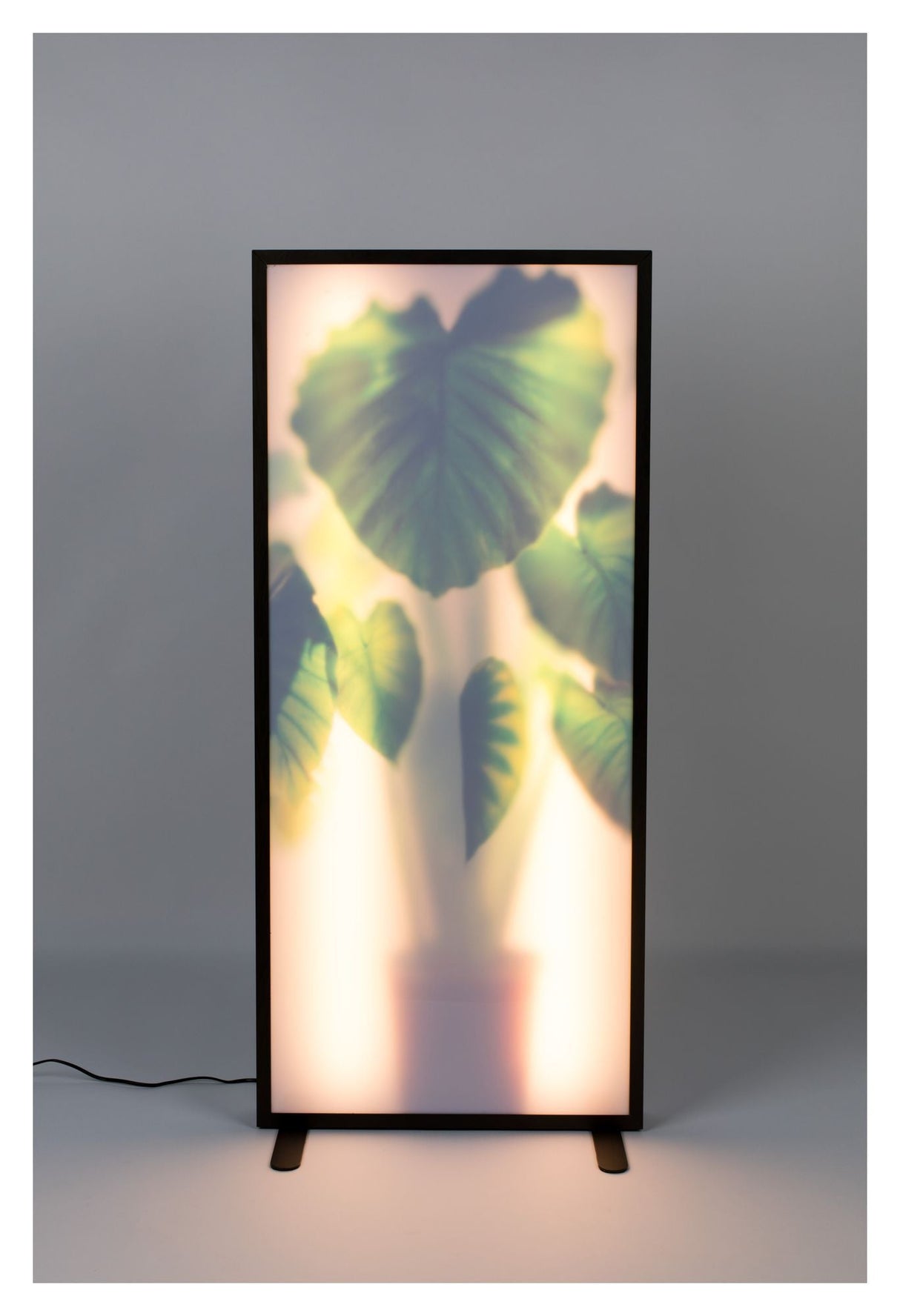 Zuiver Grow XXL Gulvlampe - Mørk Ege Finish - Unoliving.com