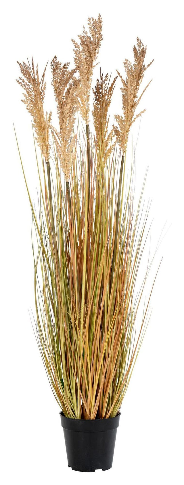 Kunstig Sorghum Grass, Natur - Unoliving.com