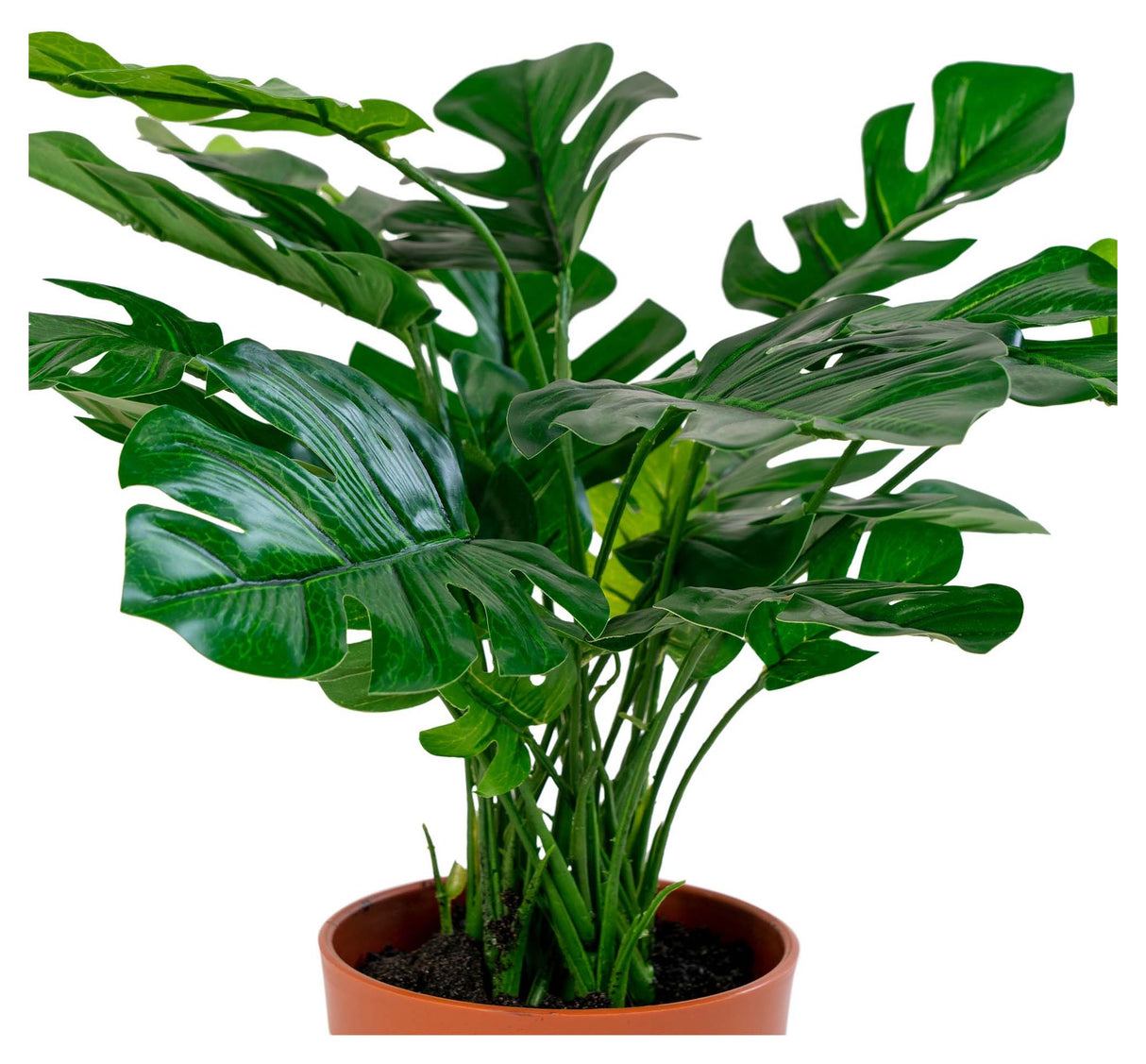 Monstera Kunstig Plante, H45