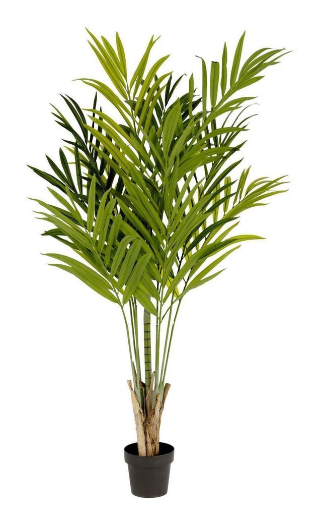 PALMERA Kunstig plante, 170 cm - Unoliving.com