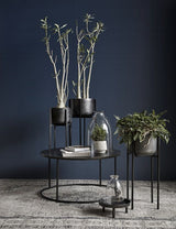 Nordal - Blomsterstand - Medium - Unoliving.com